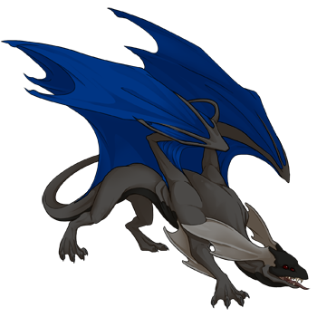 Unnamed dragon