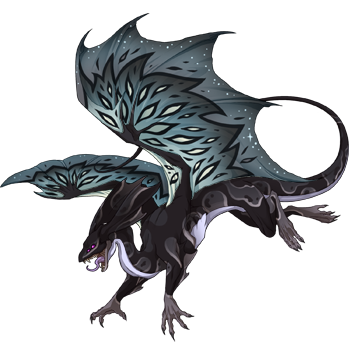 Unnamed dragon