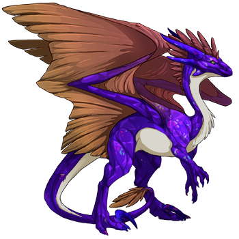 Unnamed dragon