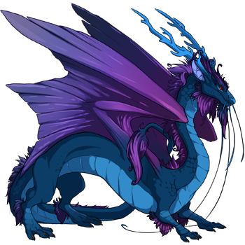 Unnamed dragon