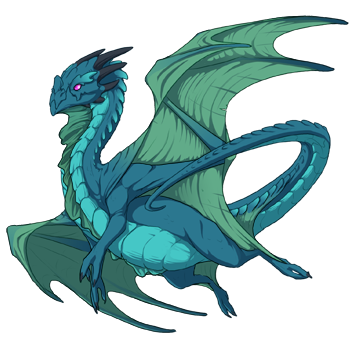 Unnamed dragon