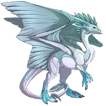 Unnamed dragon