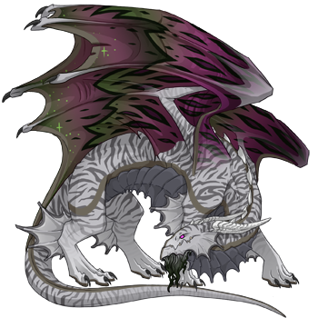 Unnamed dragon