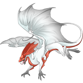 Unnamed dragon