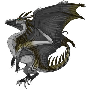 Unnamed dragon