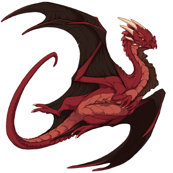 Unnamed dragon