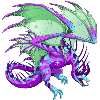 Unnamed dragon