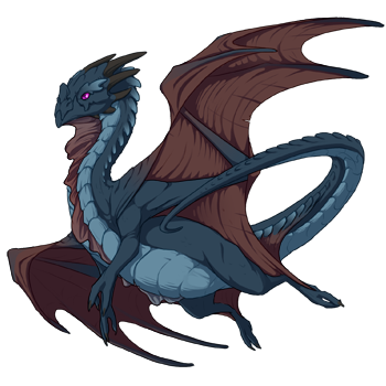 Unnamed dragon