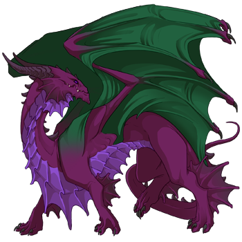 Unnamed dragon