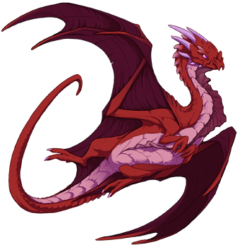 Unnamed dragon