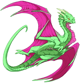 Unnamed dragon