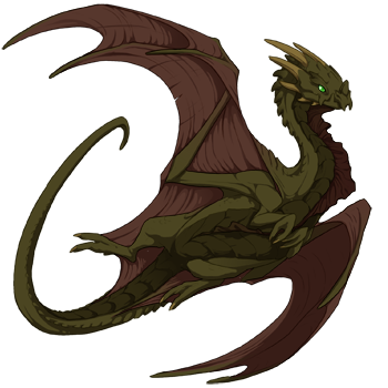 Unnamed dragon