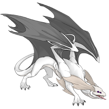 Unnamed dragon