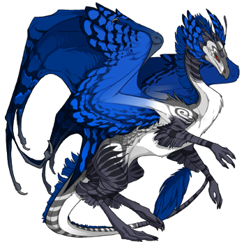 Unnamed dragon