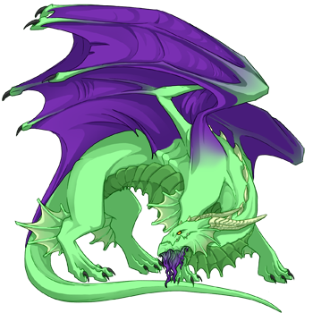 Unnamed dragon