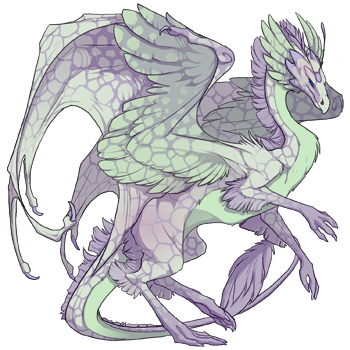 Unnamed dragon