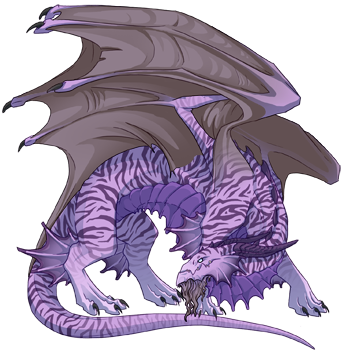 Unnamed dragon