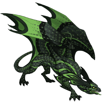 Unnamed dragon