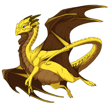 Unnamed dragon