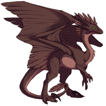 Unnamed dragon