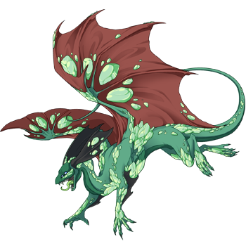 Unnamed dragon