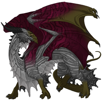 Unnamed dragon