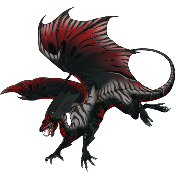 Unnamed dragon