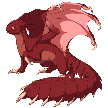 Unnamed dragon