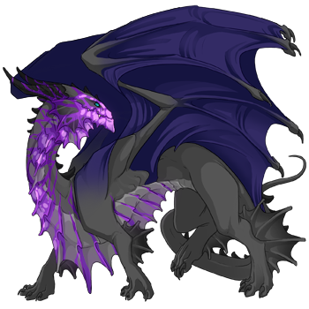 Unnamed dragon