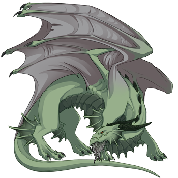 Unnamed dragon