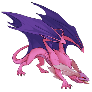 Unnamed dragon