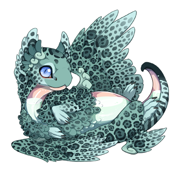 Unnamed dragon