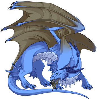 Unnamed dragon