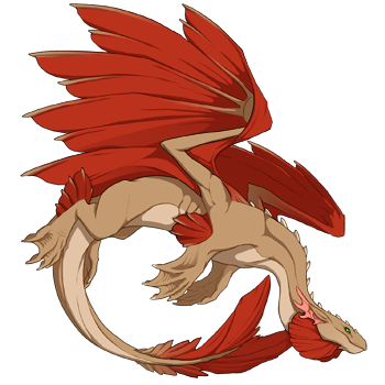 Unnamed dragon