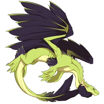 Unnamed dragon