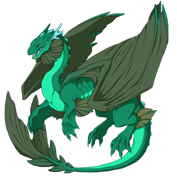 Unnamed dragon