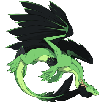 Unnamed dragon