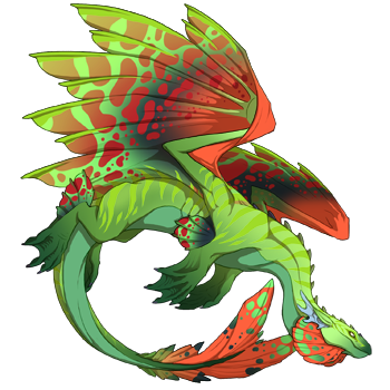 Unnamed dragon