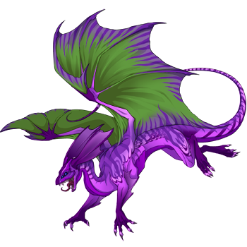 Unnamed dragon