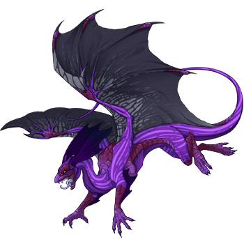 Unnamed dragon