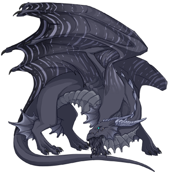 Unnamed dragon