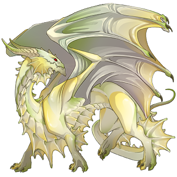 Unnamed dragon