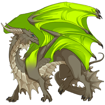 Unnamed dragon