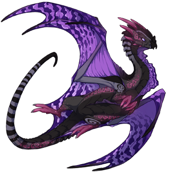 Unnamed dragon