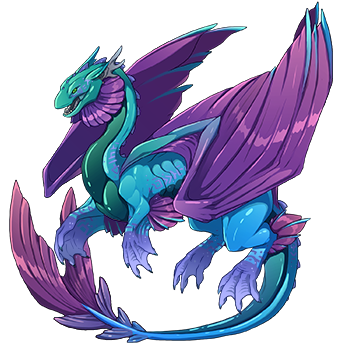 Unnamed dragon