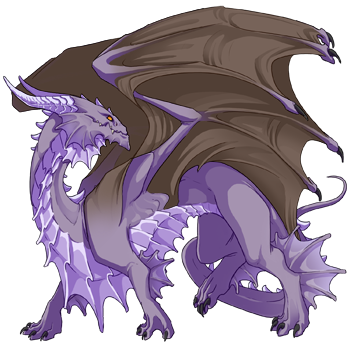 Unnamed dragon