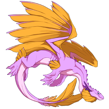 Unnamed dragon