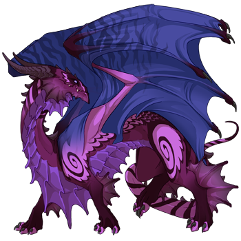 Unnamed dragon