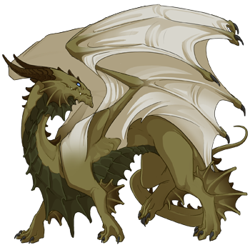 Unnamed dragon