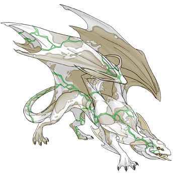 Unnamed dragon